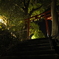 神社の明り