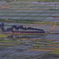 田植えの頃
