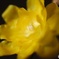 DSC_0009 (1)