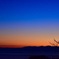 Before the dawn