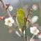 初春の訪れ