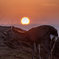 若草山の夕日