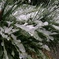 IMG_20161124_093713_1