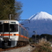身延線313系と富士山