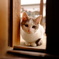 覗く子猫