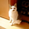 ん?