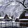 冬の五箇山雪景色