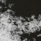 雪の結晶
