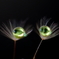 eye　見つめる様に…