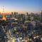 tokyo twilight