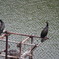 IMGP0058