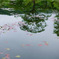 水鏡
