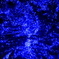 E91A3677