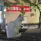 野良猫015