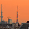 スカイツリーと東京タワー