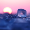 日の出見る氷坊や