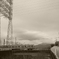 R0013262
