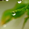 梅雨