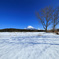 富士山と雪原