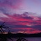 紫雲