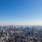 view from Roppongi hills SKYDECK #4