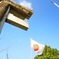 西公園