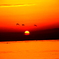 絶景の夕日
