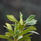 DSCF8462[1]