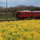 養老鉄道