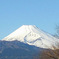 ★年賀状の富士山-01