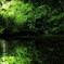これぞ