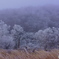 DSC06005-1