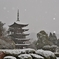 蔵出し・瑠璃光寺 五重塔・２