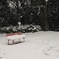 雪とベンチ
