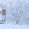 大雪の日 ～秋田内陸線～