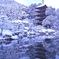 雪の瑠璃光寺
