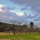 新春の国分寺