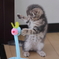 まめいにち１