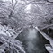 雪の八幡堀　壱