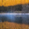 reflection　#3