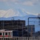 東横線と富士山