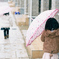 雪が降った1日