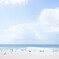 Bondi Beach