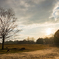 Dry sunset