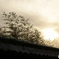冬空