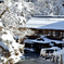 雪の大沢温泉3