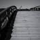 SDIM0975-1