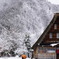 雪の背景
