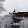 雪の清水寺