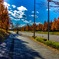 散歩道